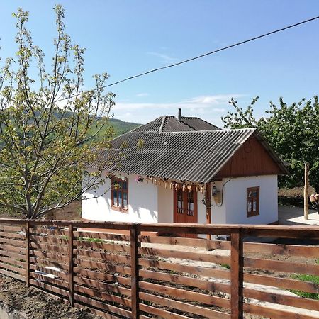 Pensiunea Turistica "Casa Rustica" Villa Chiscareni Dış mekan fotoğraf
