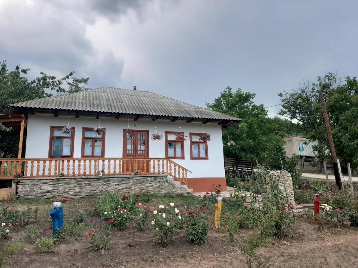 Pensiunea Turistica "Casa Rustica" Villa Chiscareni Dış mekan fotoğraf