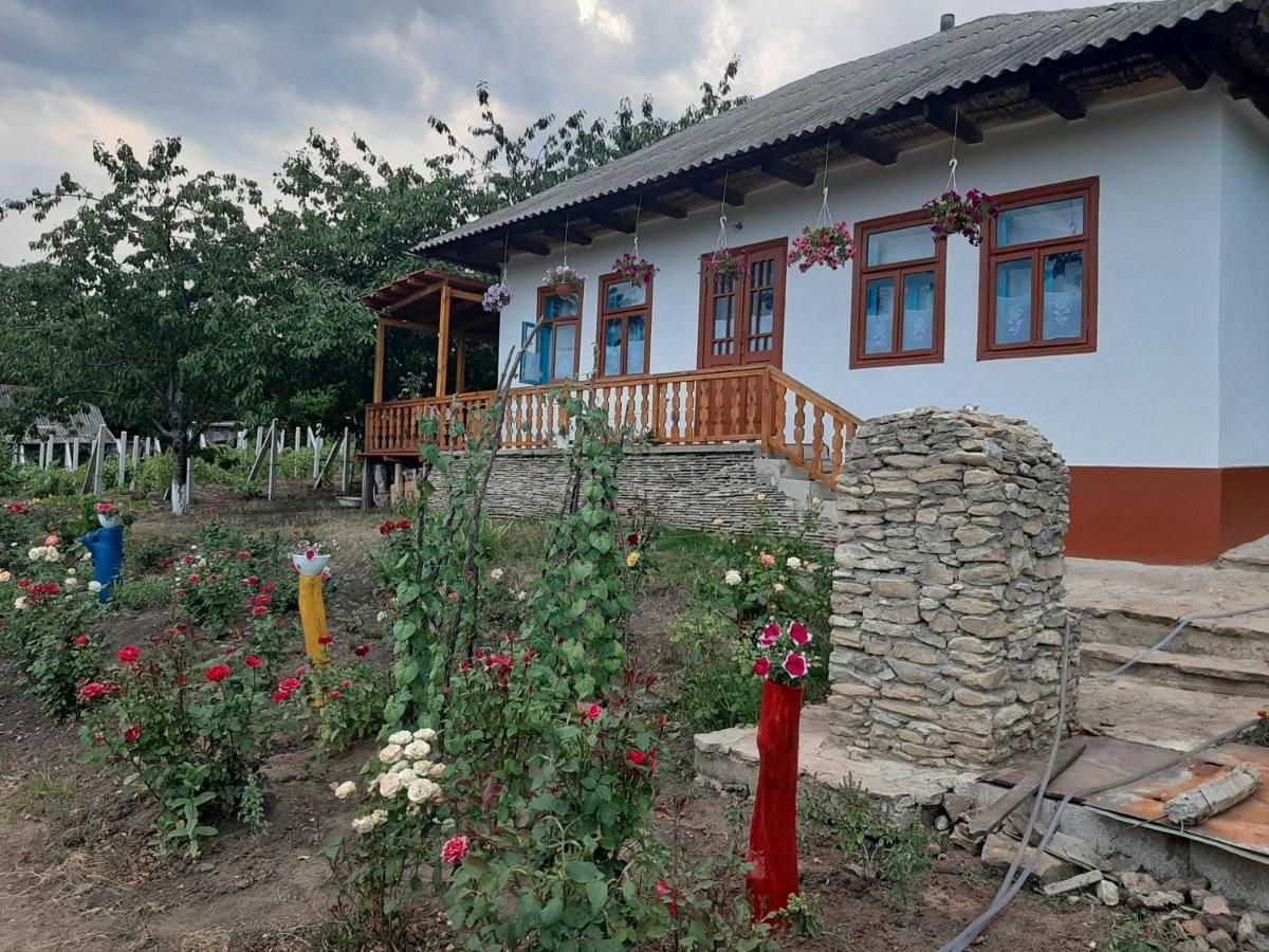 Pensiunea Turistica "Casa Rustica" Villa Chiscareni Dış mekan fotoğraf