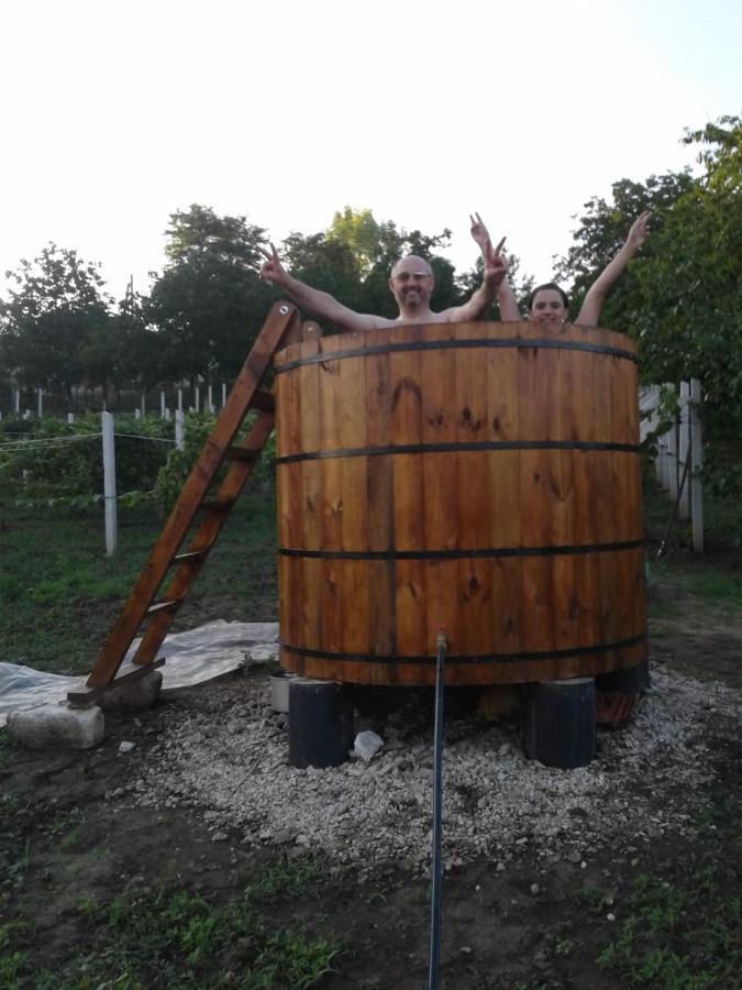 Pensiunea Turistica "Casa Rustica" Villa Chiscareni Dış mekan fotoğraf