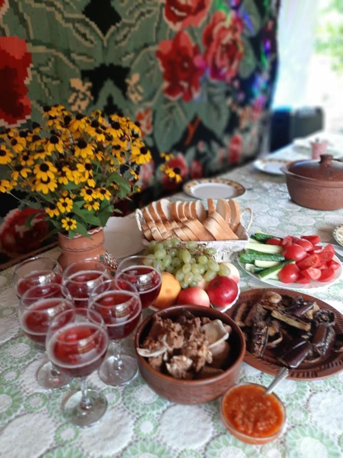 Pensiunea Turistica "Casa Rustica" Villa Chiscareni Dış mekan fotoğraf