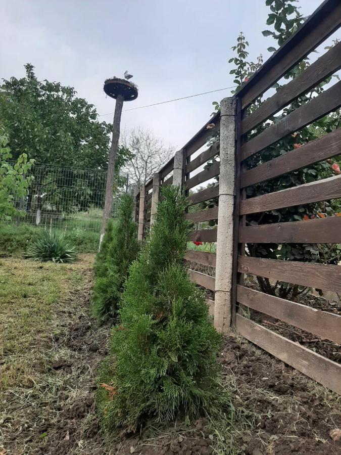 Pensiunea Turistica "Casa Rustica" Villa Chiscareni Dış mekan fotoğraf