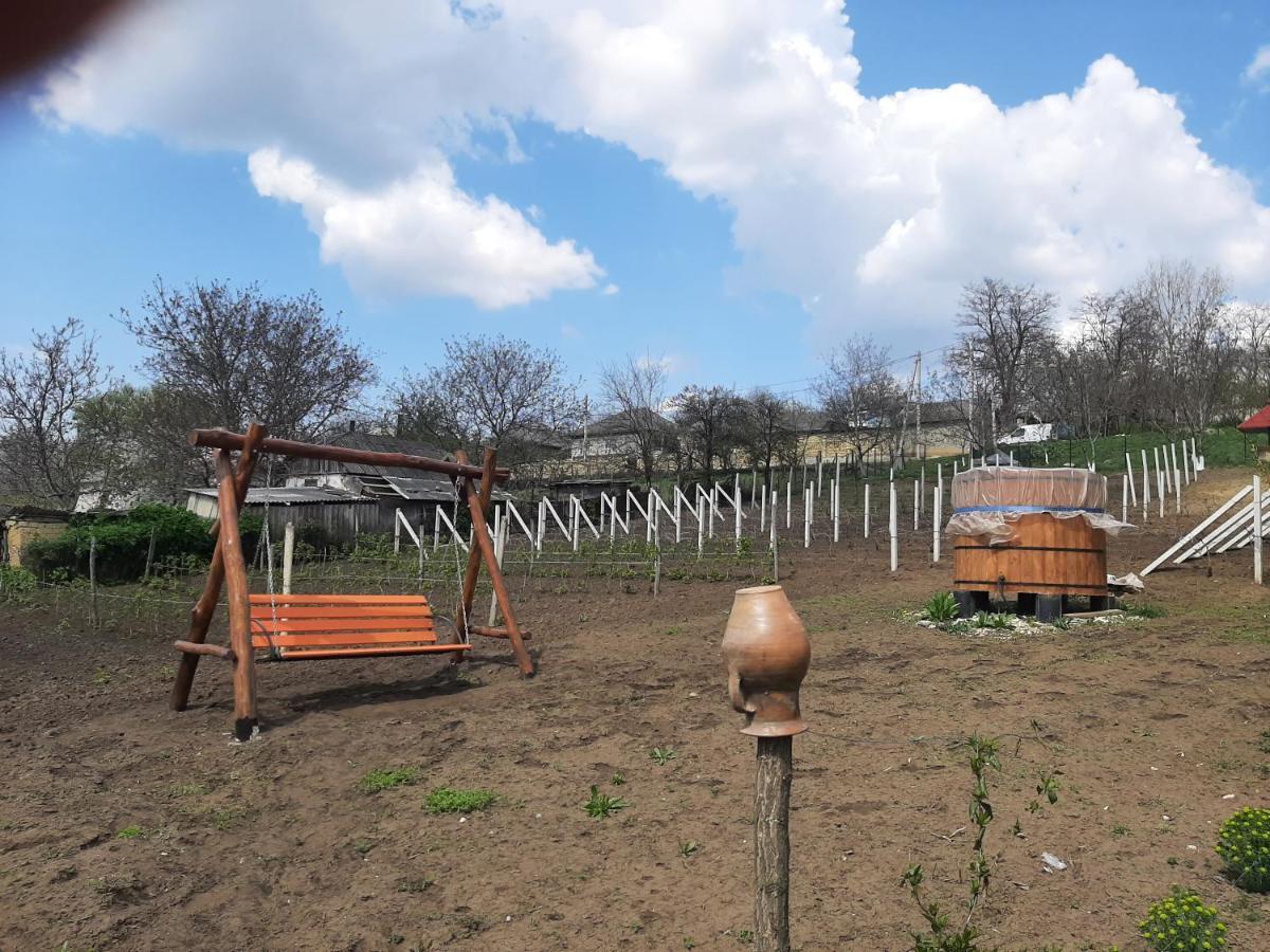 Pensiunea Turistica "Casa Rustica" Villa Chiscareni Dış mekan fotoğraf