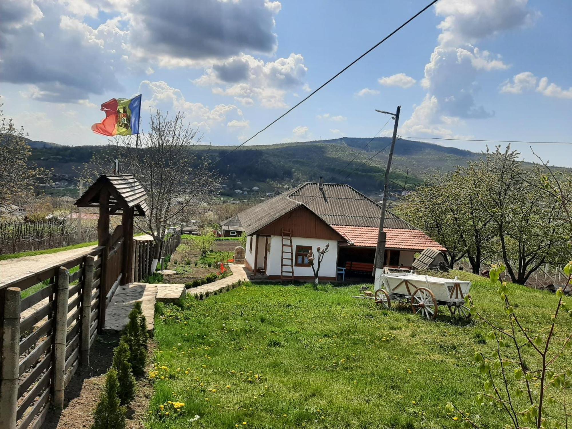 Pensiunea Turistica "Casa Rustica" Villa Chiscareni Oda fotoğraf
