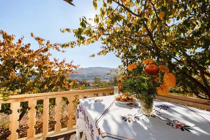 Pensiunea Turistica "Casa Rustica" Villa Chiscareni Dış mekan fotoğraf
