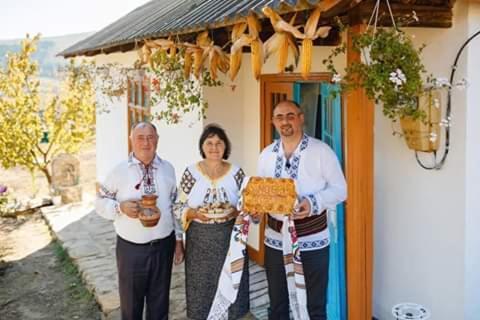 Pensiunea Turistica "Casa Rustica" Villa Chiscareni Dış mekan fotoğraf