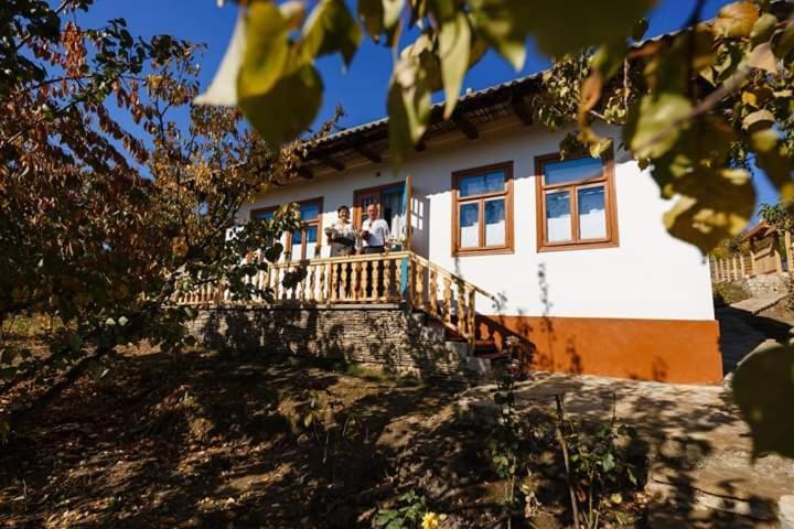 Pensiunea Turistica "Casa Rustica" Villa Chiscareni Dış mekan fotoğraf