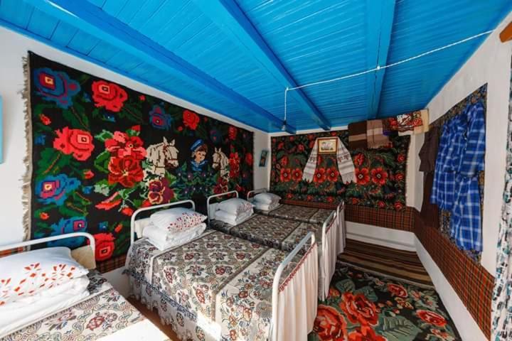 Pensiunea Turistica "Casa Rustica" Villa Chiscareni Dış mekan fotoğraf