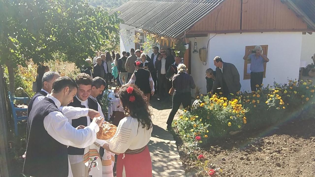Pensiunea Turistica "Casa Rustica" Villa Chiscareni Dış mekan fotoğraf
