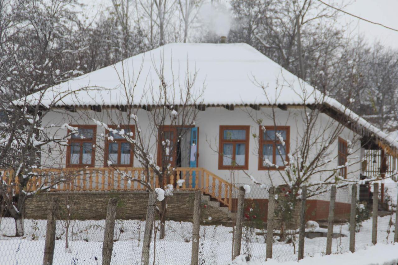 Pensiunea Turistica "Casa Rustica" Villa Chiscareni Dış mekan fotoğraf