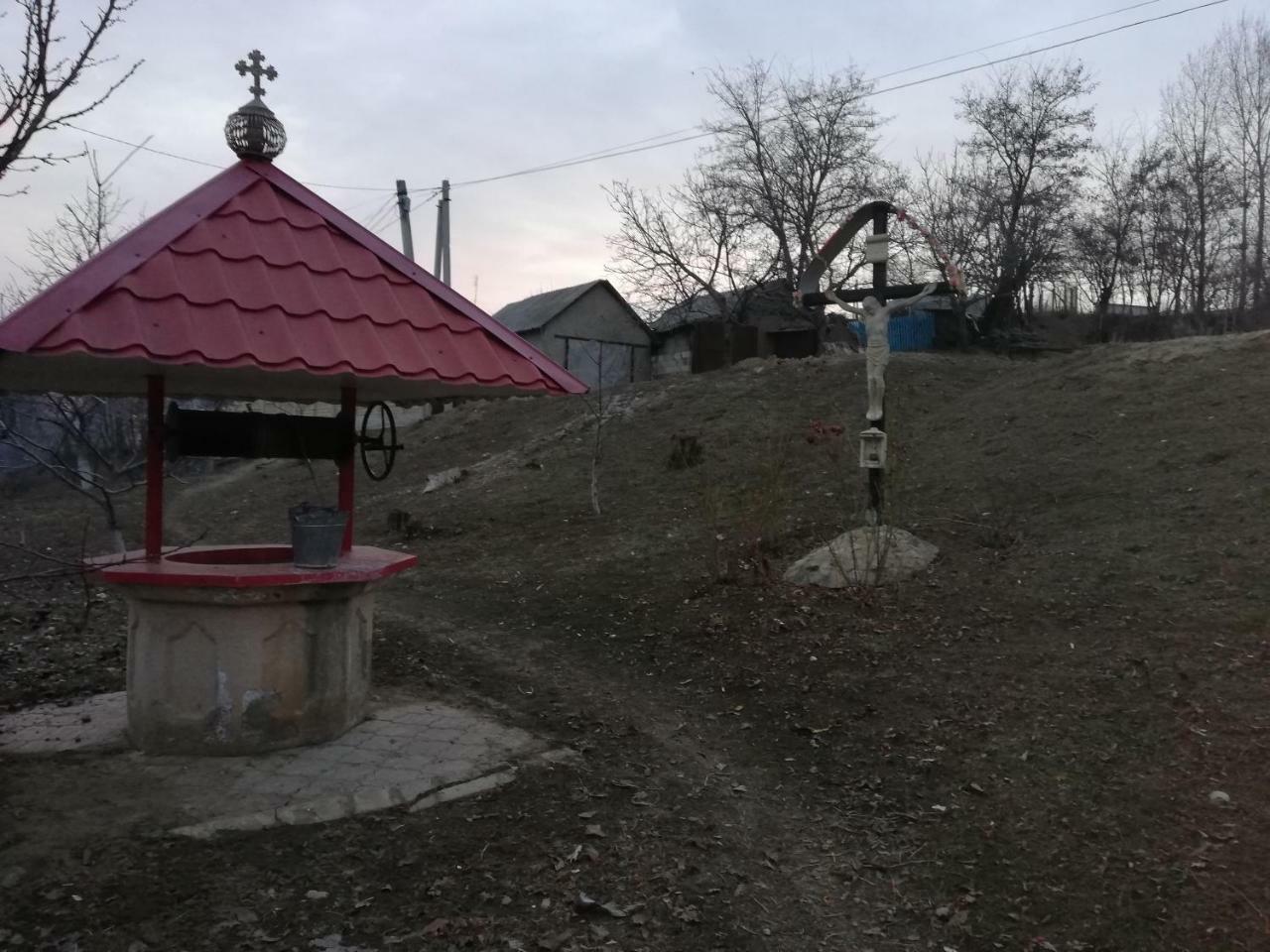 Pensiunea Turistica "Casa Rustica" Villa Chiscareni Dış mekan fotoğraf