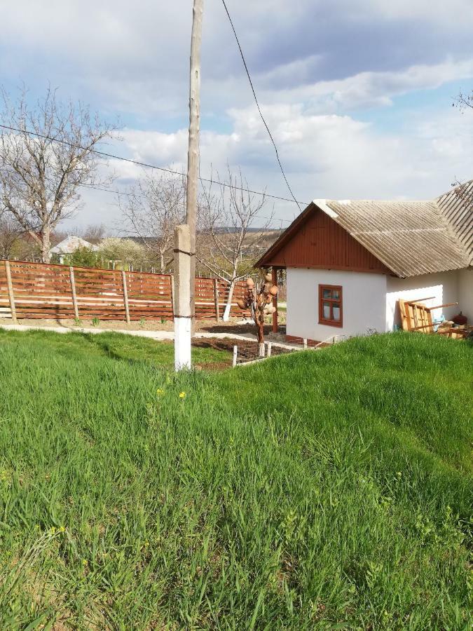 Pensiunea Turistica "Casa Rustica" Villa Chiscareni Dış mekan fotoğraf