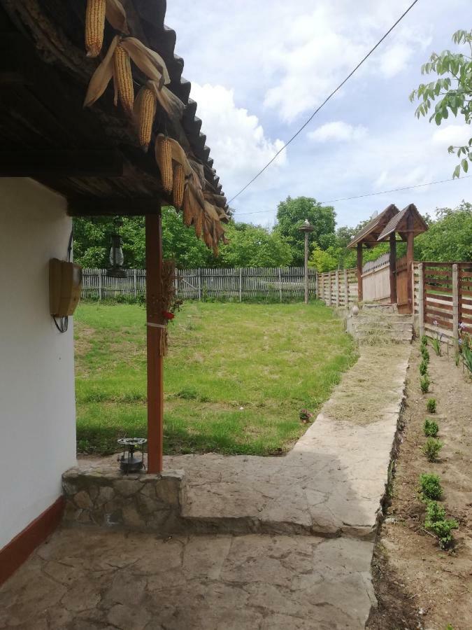 Pensiunea Turistica "Casa Rustica" Villa Chiscareni Dış mekan fotoğraf