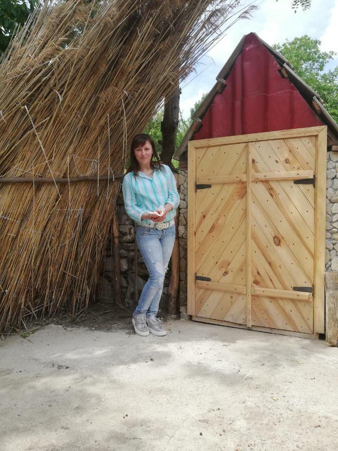 Pensiunea Turistica "Casa Rustica" Villa Chiscareni Dış mekan fotoğraf