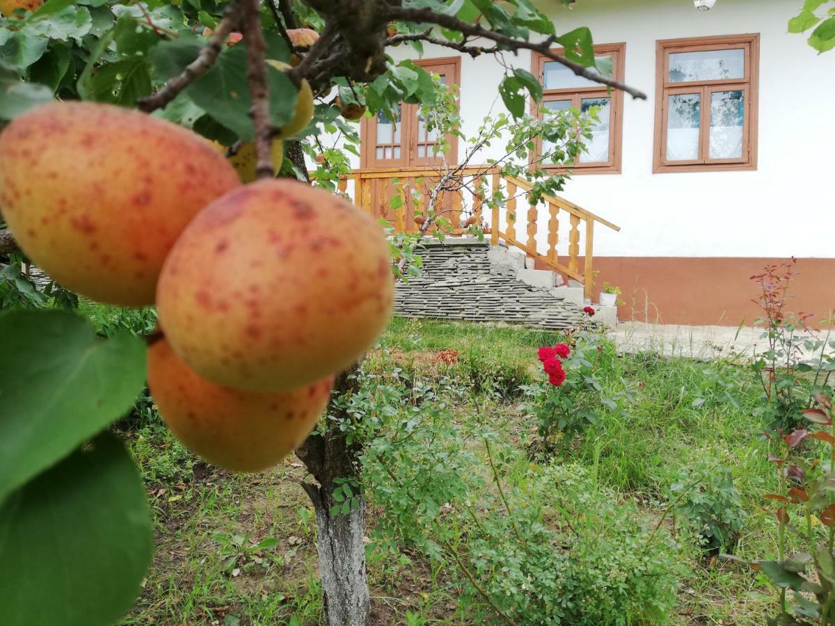 Pensiunea Turistica "Casa Rustica" Villa Chiscareni Dış mekan fotoğraf