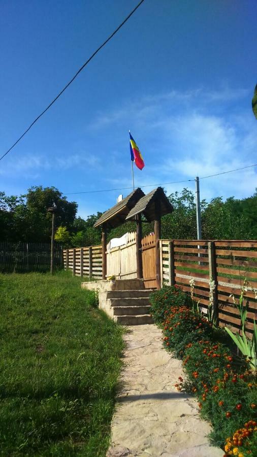 Pensiunea Turistica "Casa Rustica" Villa Chiscareni Dış mekan fotoğraf