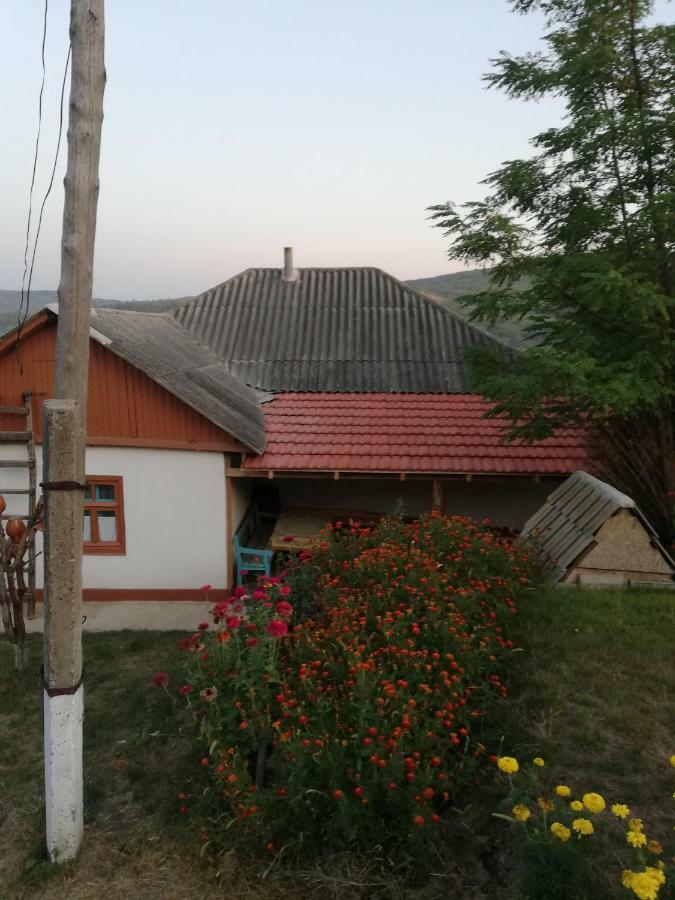Pensiunea Turistica "Casa Rustica" Villa Chiscareni Dış mekan fotoğraf