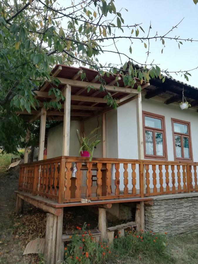 Pensiunea Turistica "Casa Rustica" Villa Chiscareni Dış mekan fotoğraf