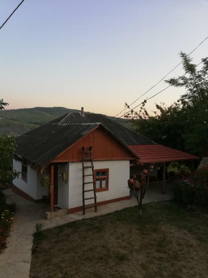 Pensiunea Turistica "Casa Rustica" Villa Chiscareni Dış mekan fotoğraf
