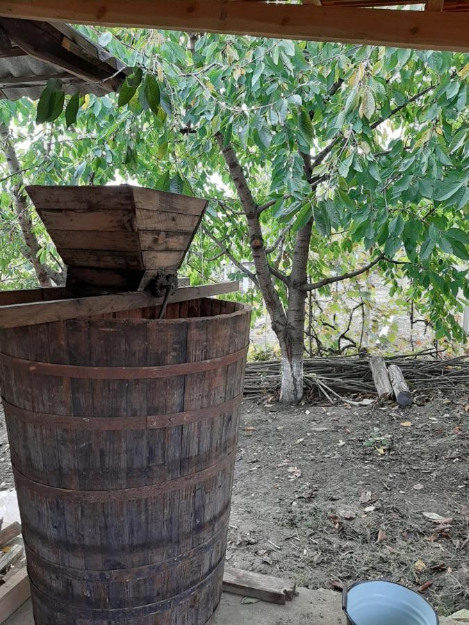 Pensiunea Turistica "Casa Rustica" Villa Chiscareni Dış mekan fotoğraf